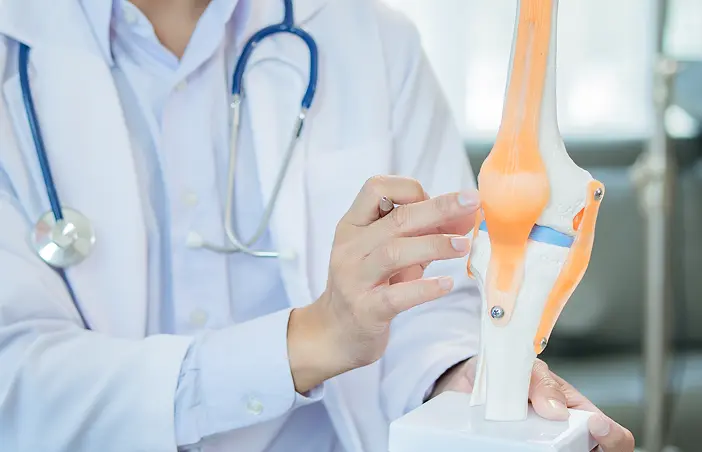 Orthopaedic specialist demonstrating knee joint structure using an anatomical model.