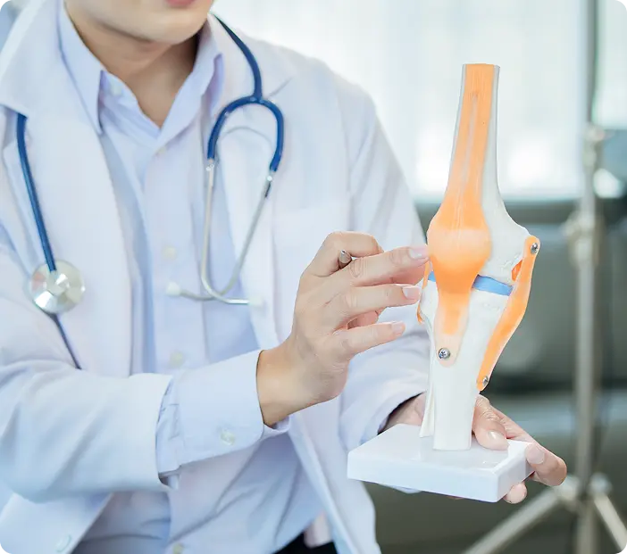 Orthopaedic specialist demonstrating knee joint structure using an anatomical model.